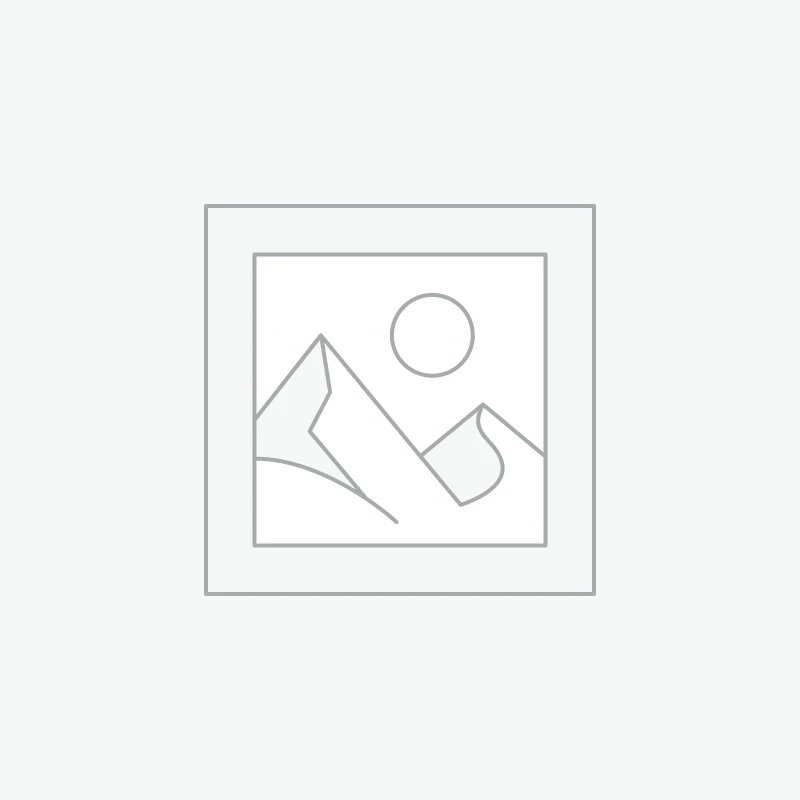 Drinkware & Daily Use